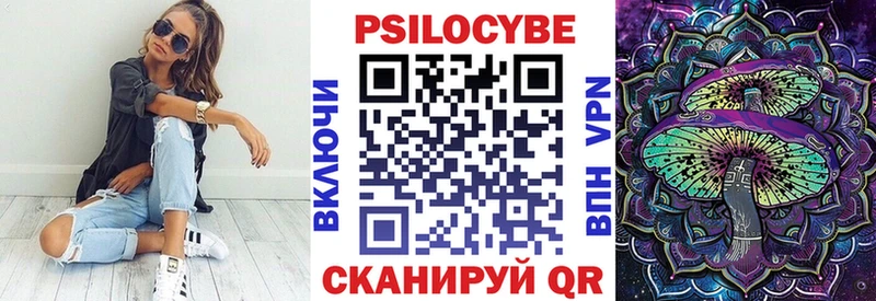 Псилоцибиновые грибы Magic Shrooms  OMG   Константиновск  как найти закладки 
